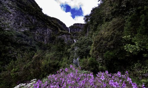 Madeira_2018_06-37